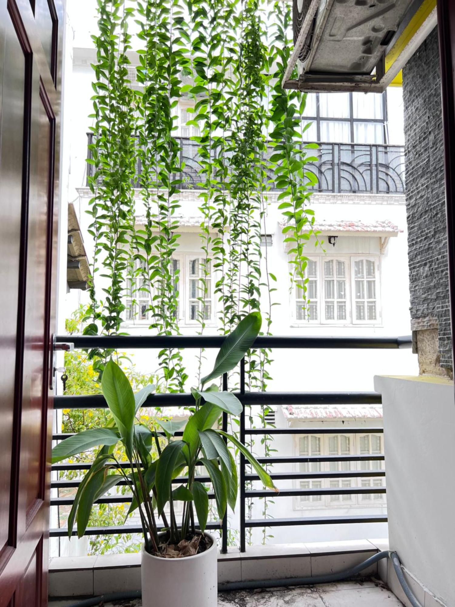 Co Homestay Saigon Ho Şi Min Dış mekan fotoğraf